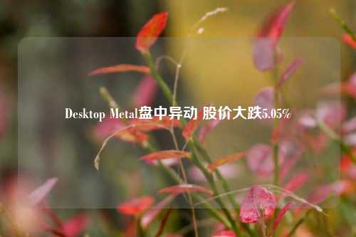 Desktop Metal盘中异动 股价大跌5.05%-第1张图片-十倍杠杆-股票杠杆