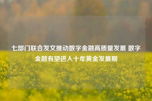 七部门联合发文推动数字金融高质量发展 数字金融有望进入十年黄金发展期-第1张图片-十倍杠杆-股票杠杆