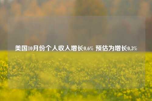 美国10月份个人收入增长0.6% 预估为增长0.3%-第1张图片-十倍杠杆-股票杠杆