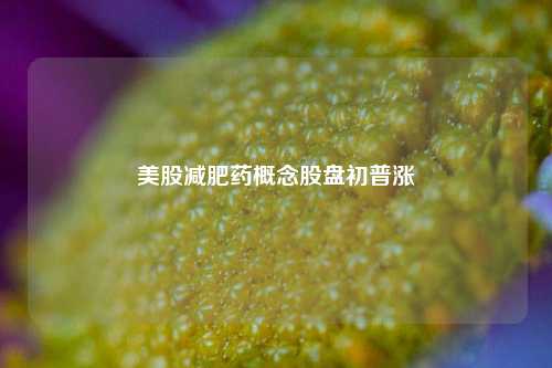 美股减肥药概念股盘初普涨-第1张图片-十倍杠杆-股票杠杆