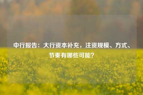 中行报告：大行资本补充，注资规模、方式、节奏有哪些可能？-第1张图片-十倍杠杆-股票杠杆