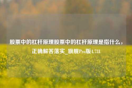 股票中的杠杆原理股票中的杠杆原理是指什么，正确解答落实_旗舰Pro版4.731-第1张图片-十倍杠杆-股票杠杆