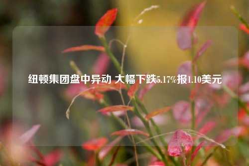 纽顿集团盘中异动 大幅下跌5.17%报1.10美元-第1张图片-十倍杠杆-股票杠杆