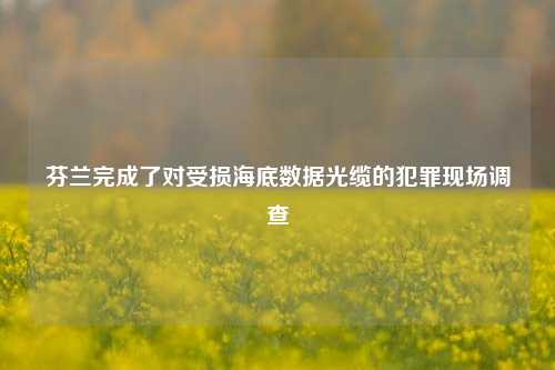 芬兰完成了对受损海底数据光缆的犯罪现场调查-第1张图片-十倍杠杆-股票杠杆