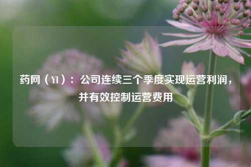 药网（YI）：公司连续三个季度实现运营利润，并有效控制运营费用-第1张图片-十倍杠杆-股票杠杆