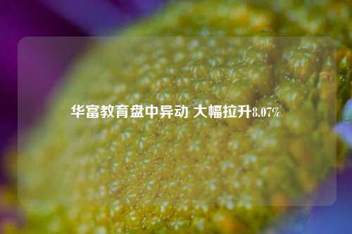 华富教育盘中异动 大幅拉升8.07%-第1张图片-十倍杠杆-股票杠杆