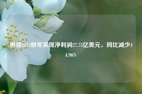 惠普2024财年实现净利润27.75亿美元，同比减少14.96%-第1张图片-十倍杠杆-股票杠杆