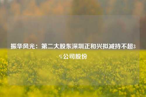 振华风光：第二大股东深圳正和兴拟减持不超3%公司股份-第1张图片-十倍杠杆-股票杠杆