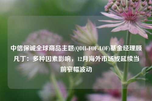 中信保诚全球商品主题(QDII-FOF-LOF)基金经理顾凡丁：多种因素影响，12月海外市场或延续当前窄幅波动-第1张图片-十倍杠杆-股票杠杆