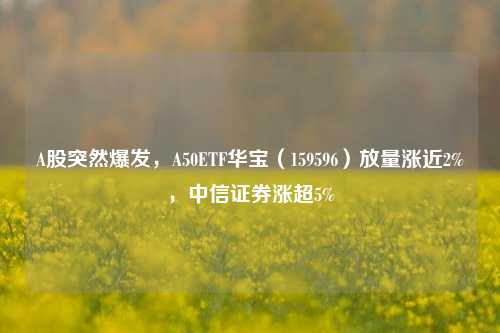 A股突然爆发，A50ETF华宝（159596）放量涨近2%，中信证券涨超5%-第1张图片-十倍杠杆-股票杠杆