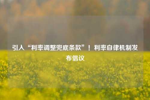 引入“利率调整兜底条款”！利率自律机制发布倡议-第1张图片-十倍杠杆-股票杠杆