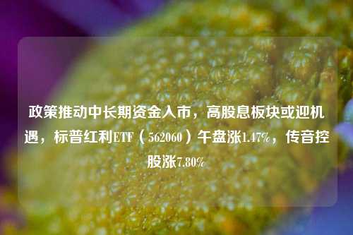 政策推动中长期资金入市，高股息板块或迎机遇，标普红利ETF（562060）午盘涨1.47%，传音控股涨7.80%-第1张图片-十倍杠杆-股票杠杆