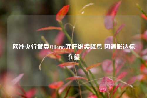 欧洲央行管委Villeroy呼吁继续降息 因通胀达标在望-第1张图片-十倍杠杆-股票杠杆