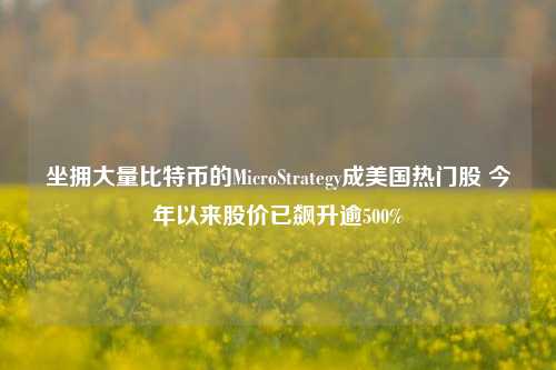 坐拥大量比特币的MicroStrategy成美国热门股 今年以来股价已飙升逾500%-第1张图片-十倍杠杆-股票杠杆