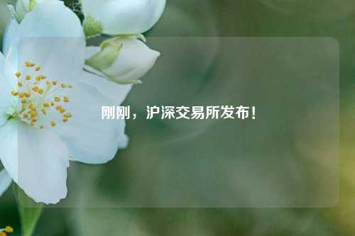 刚刚，沪深交易所发布！-第1张图片-十倍杠杆-股票杠杆