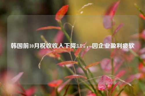 韩国前10月税收收入下降3.8%，因企业盈利疲软-第1张图片-十倍杠杆-股票杠杆