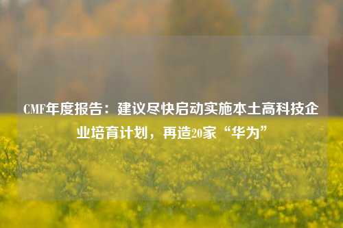 CMF年度报告：建议尽快启动实施本土高科技企业培育计划，再造20家“华为”-第1张图片-十倍杠杆-股票杠杆