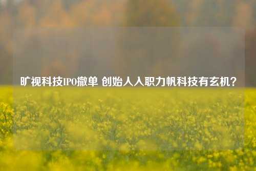 旷视科技IPO撤单 创始人入职力帆科技有玄机？-第1张图片-十倍杠杆-股票杠杆