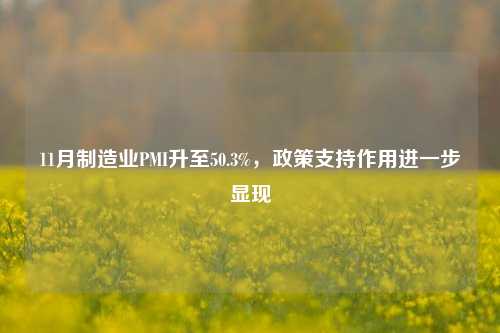 11月制造业PMI升至50.3%，政策支持作用进一步显现-第1张图片-十倍杠杆-股票杠杆