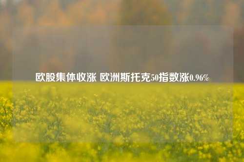 欧股集体收涨 欧洲斯托克50指数涨0.96%-第1张图片-十倍杠杆-股票杠杆