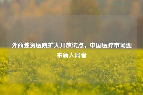 外商独资医院扩大开放试点，中国医疗市场迎来新入局者-第1张图片-十倍杠杆-股票杠杆