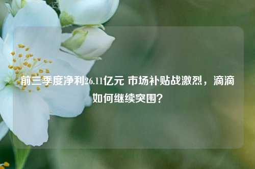 前三季度净利26.11亿元 市场补贴战激烈，滴滴如何继续突围？-第1张图片-十倍杠杆-股票杠杆