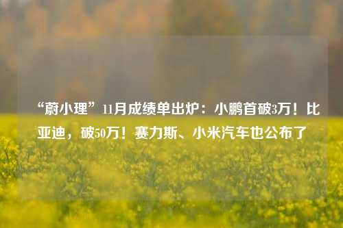 “蔚小理”11月成绩单出炉：小鹏首破3万！比亚迪，破50万！赛力斯、小米汽车也公布了-第1张图片-十倍杠杆-股票杠杆