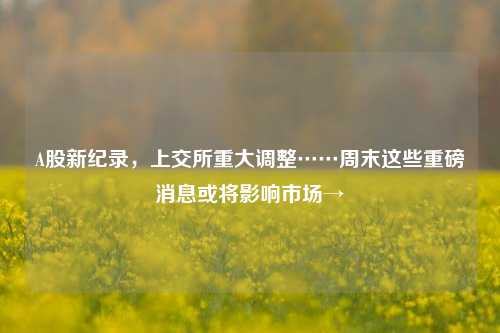 A股新纪录，上交所重大调整……周末这些重磅消息或将影响市场→-第1张图片-十倍杠杆-股票杠杆