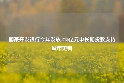 国家开发银行今年发放2730亿元中长期贷款支持城市更新-第1张图片-十倍杠杆-股票杠杆