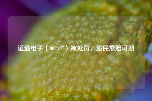 证通电子（002197）被处罚，股民索赔可期-第1张图片-十倍杠杆-股票杠杆