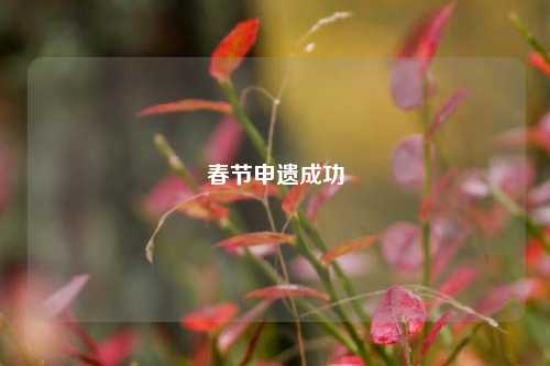 春节申遗成功-第1张图片-十倍杠杆-股票杠杆