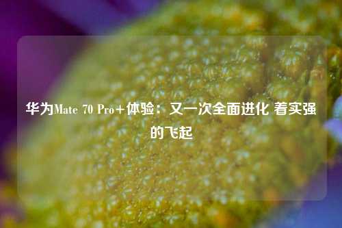 华为Mate 70 Pro+体验：又一次全面进化 着实强的飞起-第1张图片-十倍杠杆-股票杠杆