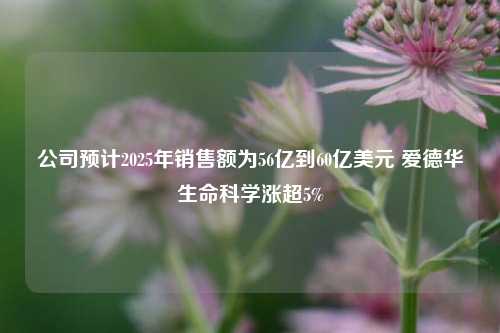 公司预计2025年销售额为56亿到60亿美元 爱德华生命科学涨超5%-第1张图片-十倍杠杆-股票杠杆