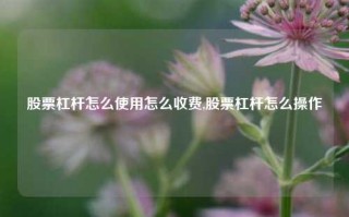 股票杠杆怎么使用怎么收费,股票杠杆怎么操作