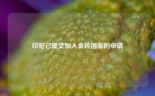 印尼已提交加入金砖国家的申请