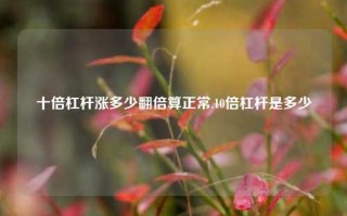 十倍杠杆涨多少翻倍算正常,10倍杠杆是多少