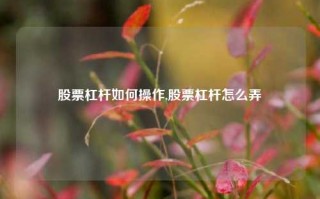 股票杠杆如何操作,股票杠杆怎么弄