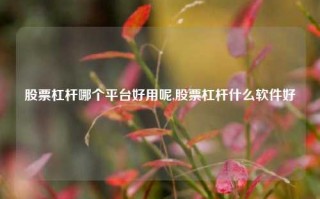 股票杠杆哪个平台好用呢,股票杠杆什么软件好