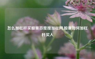 怎么加杠杆买股票百度搜加杠网,股票如何加杠杆买入