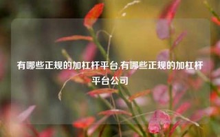 有哪些正规的加杠杆平台,有哪些正规的加杠杆平台公司