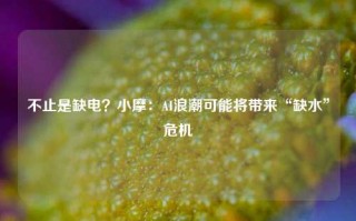 不止是缺电？小摩：AI浪潮可能将带来“缺水”危机