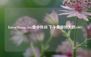 Emcor Group, Inc.盘中异动 下午盘股价大跌5.06%