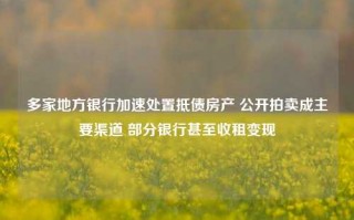 多家地方银行加速处置抵债房产 公开拍卖成主要渠道 部分银行甚至收租变现