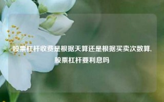 股票杠杆收费是根据天算还是根据买卖次数算,股票杠杆要利息吗