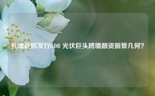 扎堆赴欧发行GDR 光伏巨头跨境融资前景几何？