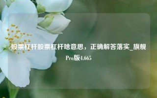 股票杠杆股票杠杆啥意思，正确解答落实_旗舰Pro版4.665