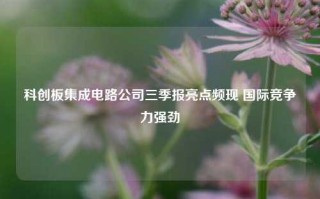 科创板集成电路公司三季报亮点频现 国际竞争力强劲