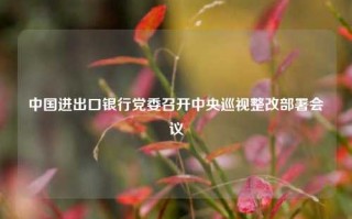 中国进出口银行党委召开中央巡视整改部署会议