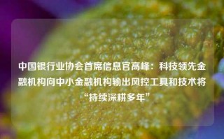 中国银行业协会首席信息官高峰：科技领先金融机构向中小金融机构输出风控工具和技术将“持续深耕多年”