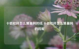 十倍杠杆怎么算盈利的钱,十倍杠杆怎么算盈利的钱呢